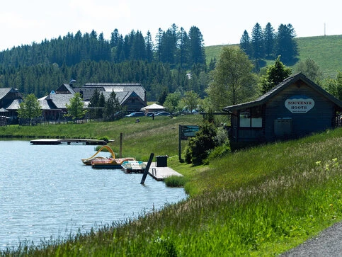  Barrierefreier Holzweg zum Moore